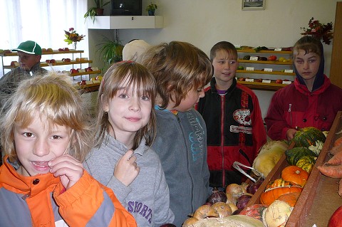 img00007.jpg